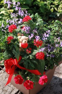 14123583_1072552489489483_988831911_o