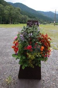 14125153_1072214202856645_1350103680598507471_o