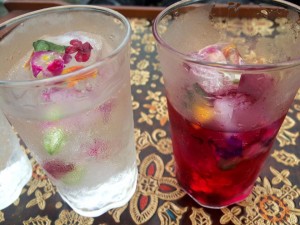 14141505_1125711780827881_980633428697404515_n