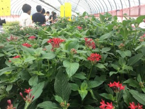 14141706_652772144885308_1725882486324037057_n