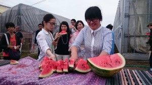 14151903_1074298722648193_1581538725_o