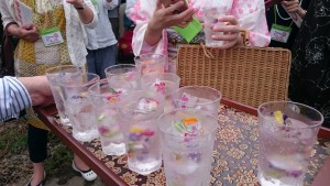 14163847_1074298752648190_125451978_o