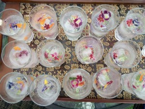 14202786_1125711827494543_5760197646176600528_n