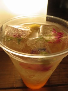 14183956_1077839482294117_4833194899262412396_n