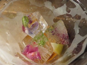 14184487_1077839572294108_761137035160659063_n