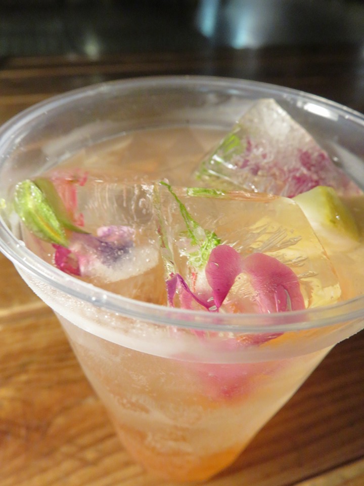 「美食花アイスキューブ」のデビュー戦！！