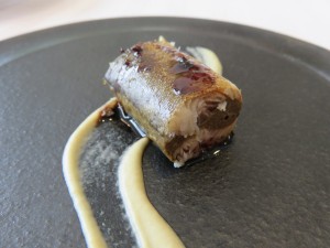 14203019_1078761748868557_1709679792_o