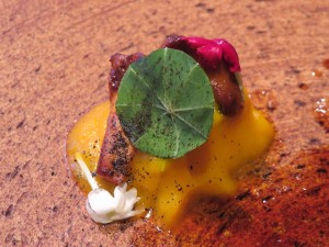 14212613_1094218657322866_8176311842953350017_n