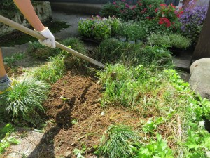 14241546_1085627761515289_4931729808515043900_o