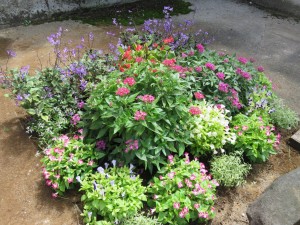 14242496_1085627921515273_2001233377277740657_o