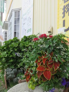 14249046_1081883501889715_742362266_n