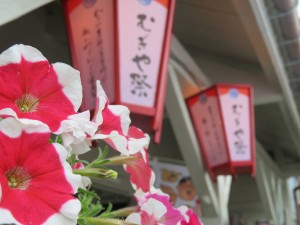 14285776_1091818754229523_1476093375_o