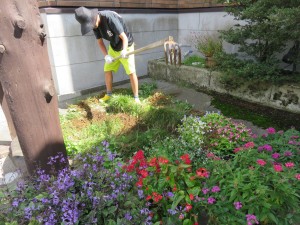 14290004_1085627768181955_1959432574057458295_o