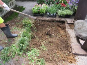 14305217_1085627764848622_1548359112325490844_o