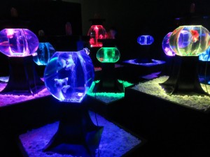 14324398_1094960353915363_5425436441705960545_o