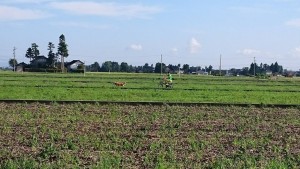 14340077_1087294371348628_1030122554_o