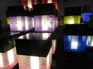 14352601_1094960180582047_1461327430084470012_o