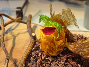 14355138_1094218413989557_7574211892740702225_n