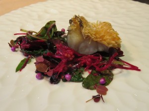 14359235_1094218587322873_6806124362571231398_n