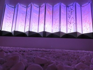 14361218_1095106407234091_6841314794954563543_o