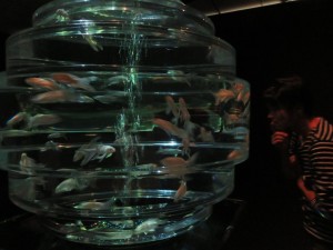 14362545_1094960463915352_3645972382000300757_o