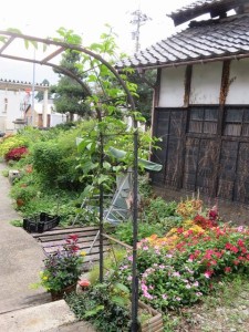 14398060_1091499760928089_2111192859_n