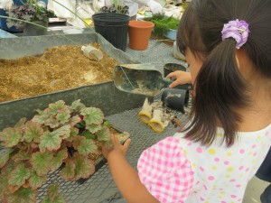 14408372_1097621283649270_580980532_o