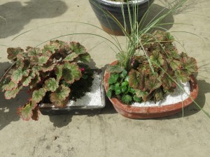 14424132_1097621463649252_1225045459_o