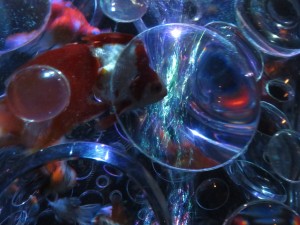 14425504_1094960537248678_7401595945128842833_o