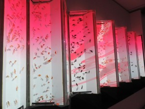 14435220_1095106400567425_6740645125919681027_o