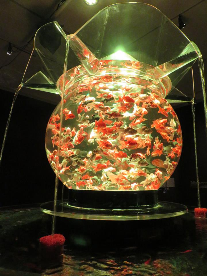 「晴耕雨読」パートⅡ(笑)