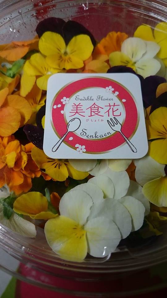 美食花に新しくラインナップ♪