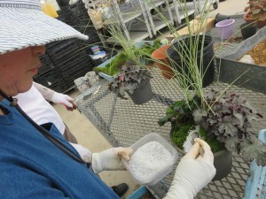 14455902_1097621290315936_392964128_o