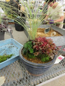 14483476_1097621293649269_1576431410_n