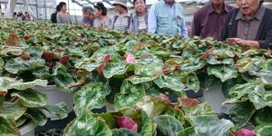 14494797_1099111486833583_2635672374391494818_n