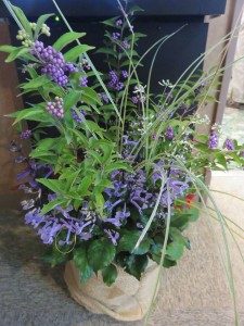 14527542_1101926279885437_1183007346_n