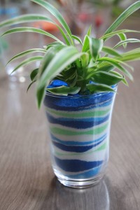 14193814_1074278612650204_873271860_n