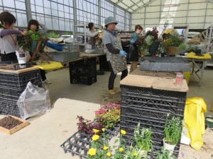 14489528_1104586659619399_1700817443_o