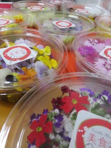 14494745_1704280516564873_3583664135001155182_n