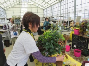 14522537_1104586656286066_2038160097_o