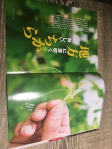 14523073_1073159816133531_2618906772091727876_n