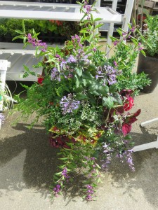 14527437_1104586736286058_813702882_n