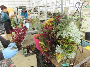 14536812_1104586662952732_290549527_o