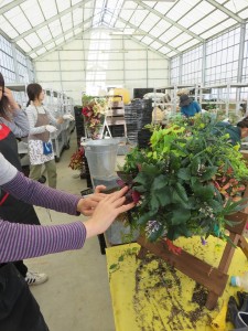 14543634_1104586646286067_1390345654_n