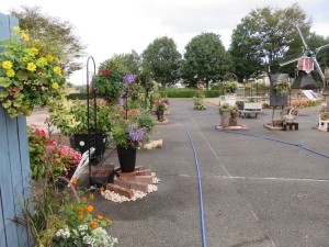 14550962_1108271535917578_104005124_o