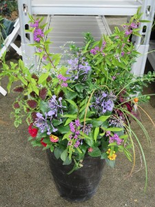 14555858_1104586732952725_1173038952_n