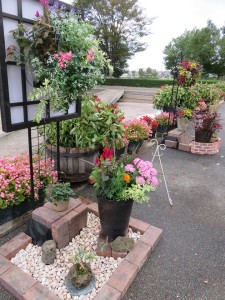 14569632_1108271495917582_1187434253_n