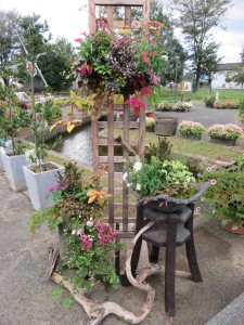 14569775_1108271292584269_835074319_n