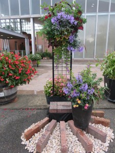 14569794_1108271289250936_1351787207_n1