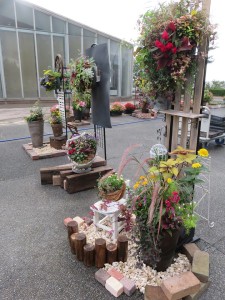 14580393_1108271282584270_1806109458_n